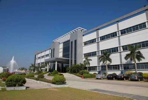 上海添加纤维素纤维批发