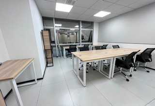 四川犬细小抗原检测卡