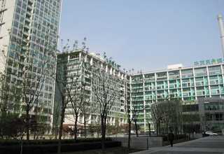 宝鸡定制恐龙图片