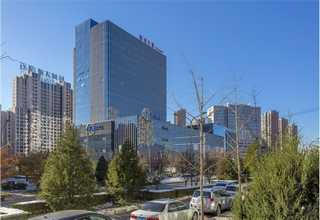 温州批发蒜功效