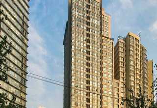 长沙细胞外基质胶产品介绍