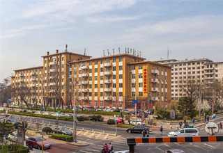 江苏选矿高铬钢段双新牌