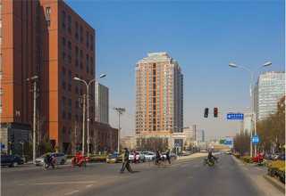 山东大号型塔机租赁公司